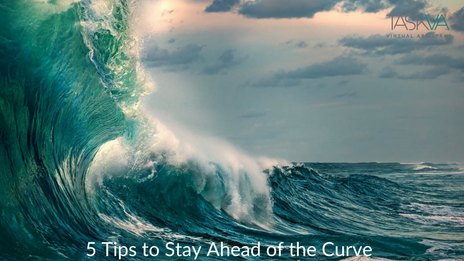 5 Tips To Stay Ahead Of The Curve TASK Virtual Assistant LLC