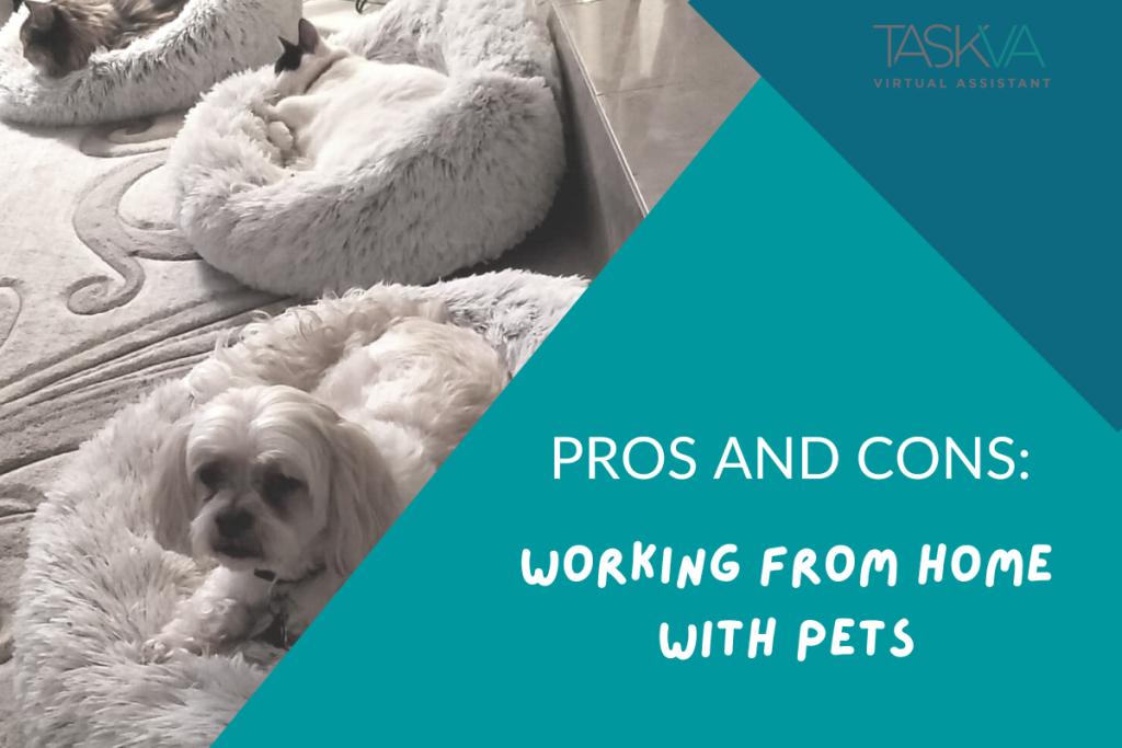 Pros and Cons of Office Pets